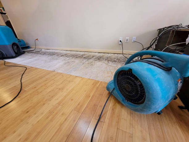Professional Flood Damage Cleanup technician working in Amesbury, MA